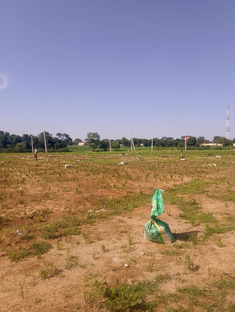 Lakeshore Residences